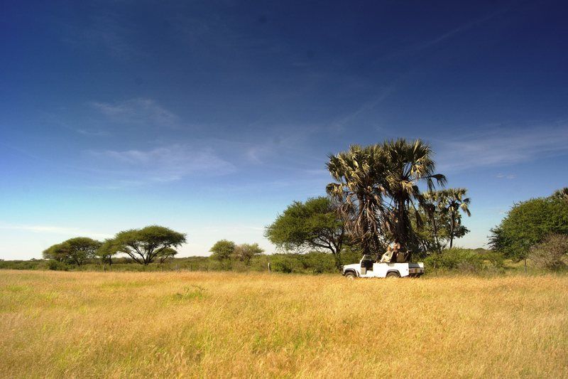 Hotel Dornhuegel Guestfarm Grootfontein Exteriér fotografie
