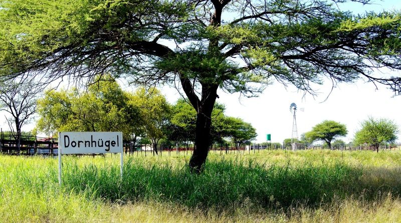 Hotel Dornhuegel Guestfarm Grootfontein Exteriér fotografie