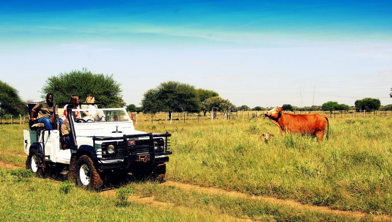Hotel Dornhuegel Guestfarm Grootfontein Exteriér fotografie